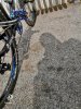 IMG_20190308_105642.jpg