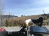 IMG_20190309_131726.jpg