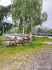IMG_20190609_172841.jpg