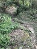2F0B0996-E5BB-4DBC-B5AF-440A0300038A.jpeg