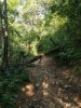 IMG_20190624_084616.jpg