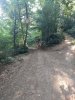 IMG_20190624_084810.jpg
