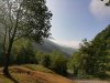 IMG_20190713_092822.jpg