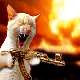 293.gif