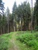 DSC07084.JPG