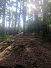 IMG_20190815_094951.jpg