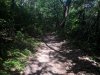 IMG_20190815_143350.jpg