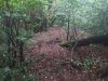 IMG_20190820_184518.jpg