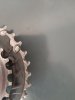 20190928_101532.jpg