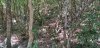 MTB4.JPG