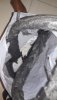 20190723_063749.jpg