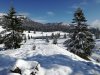 IMG_20191109_122140.jpg