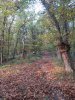 IMG_20191113_162911.jpg