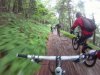 dac7733ac57c42ee90e2f85b1a946528.thumbnail.jpeg