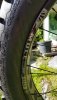 20190521_094429.jpg
