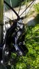 20190521_094541.jpg