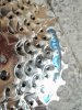 100_3295.jpg