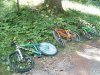 DSCF0016.jpg