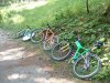 DSCF0015.jpg