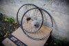 Set ruote 26" custom DTSwiss "X420SL" \ Specialized \ Shimano + pacco pignoni