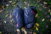 Ginocchiere: BlueGrass Bobcat D3O Knee (M)