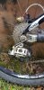 Trek session dh26"