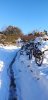 20191214_092039.jpg