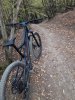 Specialized stump jumper