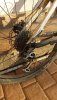 20191214_154145-1134x2016.jpg