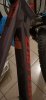 Santacruz Highball C taglia L