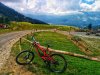 Specialized Demo 8