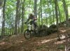 DSCN3614.JPG