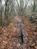 IMG_20200119_111231.jpg