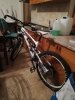 LaPierre spicy 516