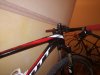 MTB Scott scale 910