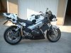 motomucca.jpg