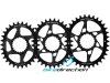 Corona ovale Leonardi Gecko Track integrata spiderless Shimano XTR 12V M9100 30, 32, 34 denti