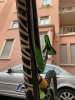 IMG_0115.jpg