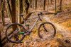 Canyon Nerve Taglia XL