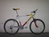 scapin_497.jpg