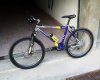 mantovr68950981Mont-Sab-Annunc.jpg