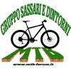 LOGO3 copia.jpg