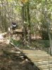 DSC00053.JPGpiz.JPG