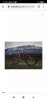 Trek Procaliber 9.7 2020 rossa XL