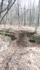 IMG-20200308-WA0027.jpeg