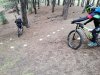 IMG_20200307_113152.jpg