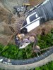 IMG_20191020_165553.jpg