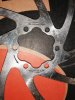 IMG_20200404_161841.jpg