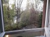 20200410_202027.jpg