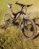 DSC00560.jpg
